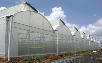 Reunion Informativa sobre cultivos bajo techo